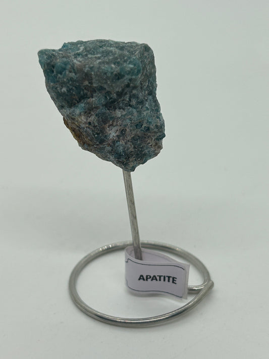 Rough Apatite on Silver Pin Stand