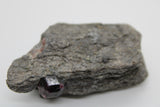 Alaskan Garnet