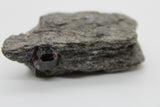 Alaskan Garnet