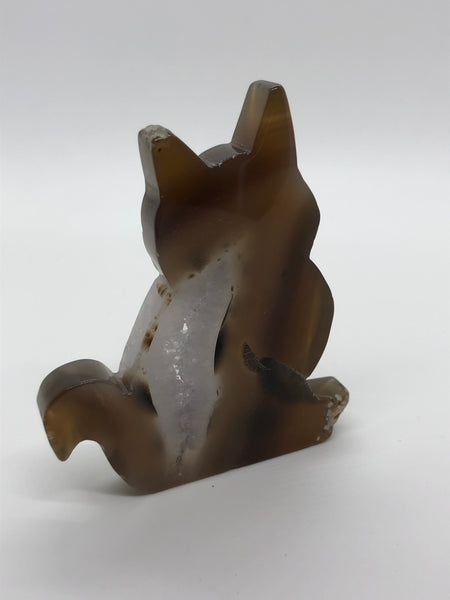 Agate Cat