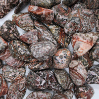 Leopardskin Jasper Tumbled