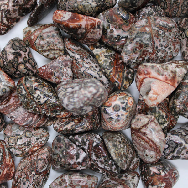 Leopardskin Jasper Tumbled